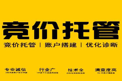 百度推广优化实战技巧与案例解析